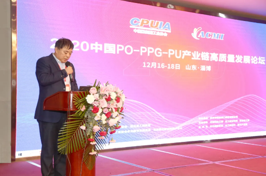 山東藍星東大有限公司總工程師、總經(jīng)理助理郭輝